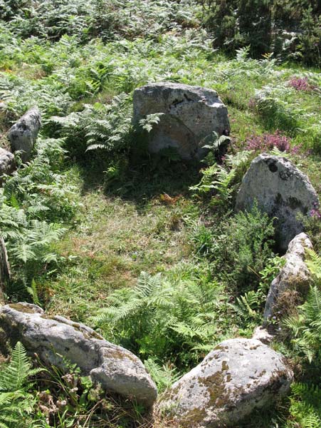 Dolmens de Man&eacute; Braz